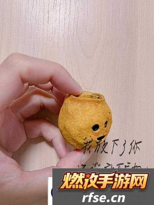九一爽爽爽带来的别样欢乐体验
